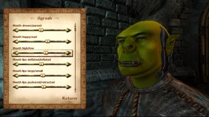 The Elder Scrolls 4: Oblivion