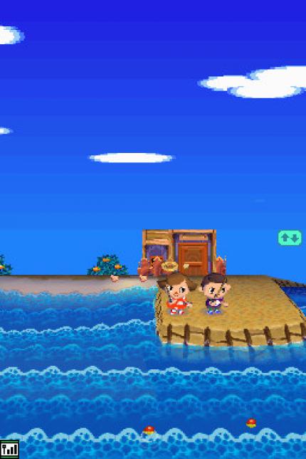 Animal Crossing: Wild World