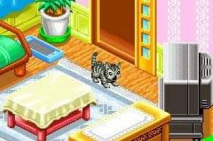 CATZ