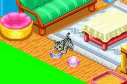 CATZ