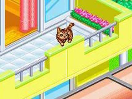 CATZ