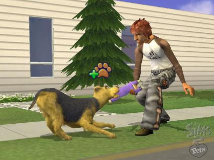Die Sims 2: Haustiere