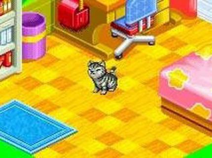 Catz