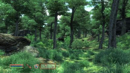 The Elder Scrolls 4: Oblivion