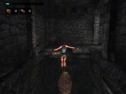 Lara auf dem Pfosten