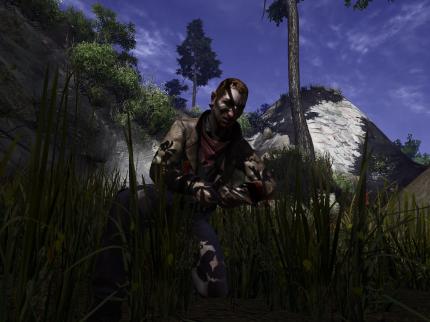 Call of Juarez