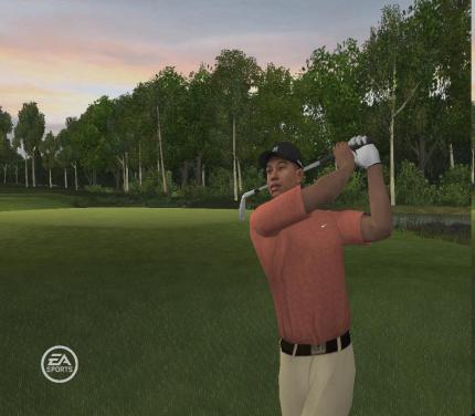 Tiger Woods PGA Tour 08
