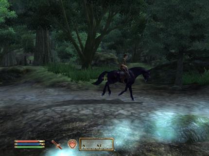 The Elder Scrolls 4: Oblivion - Spiel des Jahres Edition