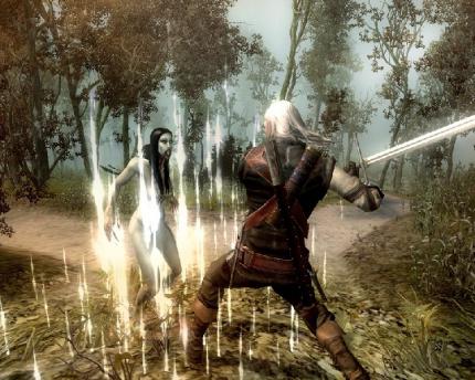 The Witcher