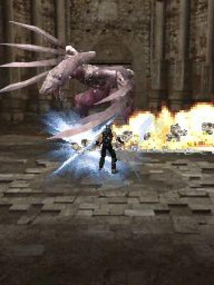 Ninja Gaiden Dragon Sword