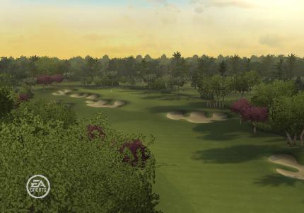 Tiger Woods PGA Tour 09