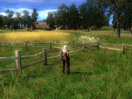 The Witcher: Enhanced Edition