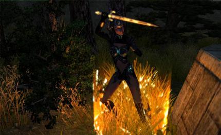 Sacred 2: Fallen Angel