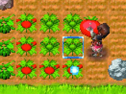 Rune Factory: A Fantasy Harvest Moon