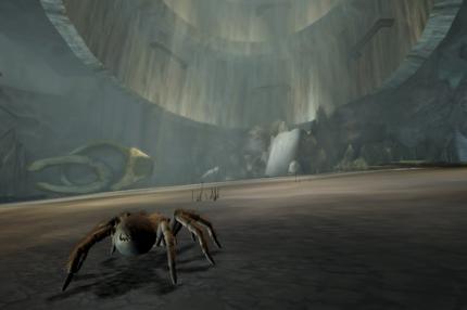 Deadly Creatures