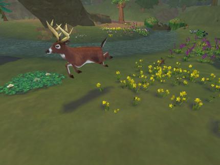 SimAnimals
