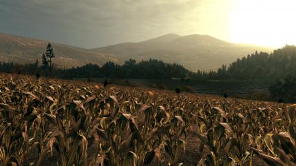 Call of Juarez: Bound in Blood