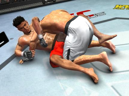 UFC Undisputed 2009