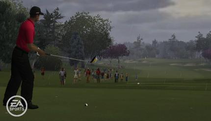 Tiger Woods PGA Tour 10