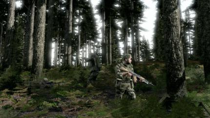 Armed Assault 2