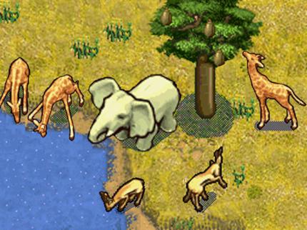 SimAnimals Afrika