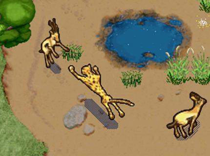 SimAnimals Afrika