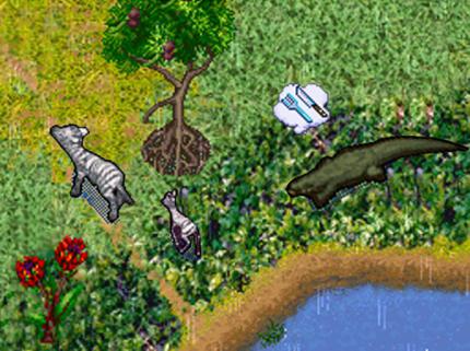 SimAnimals Afrika