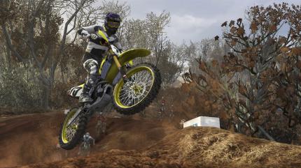 MX vs. ATV Reflex