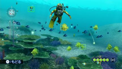 Endless Ocean 2: Der Ruf des Meeres