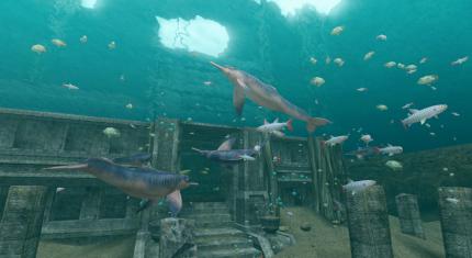 Endless Ocean 2: Der Ruf des Meeres