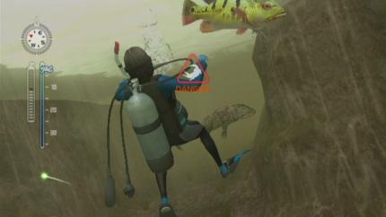 Endless Ocean 2: Der Ruf des Meeres