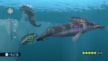 Endless Ocean 2: Der Ruf des Meeres