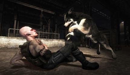 Dead to Rights: Retribution