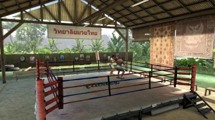MMA: Mixed Martial Arts