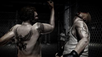 The Fight