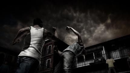 The Fight