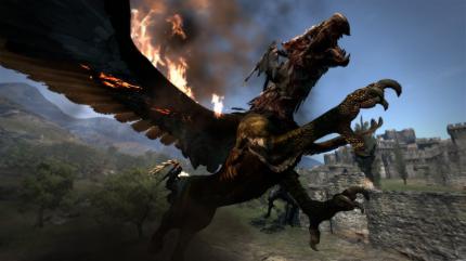 Dragon's Dogma (6)