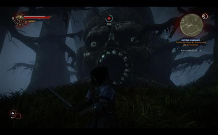 The Witcher 2: Assassins of Kings