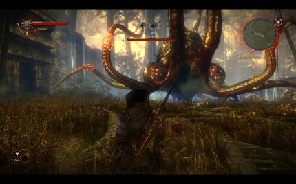The Witcher 2: Assassins of Kings