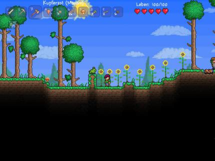 Terraria für Playstation 3 im Test (5)