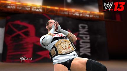 WWE '13 (20)