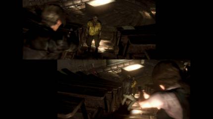 Resident Evil 6. (16)