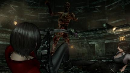 Resident Evil 6. (18)