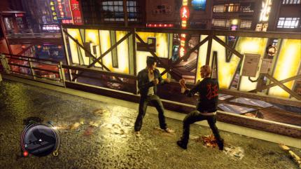Sleeping Dogs (3)