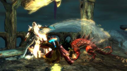 Guild Wars 2 (7)