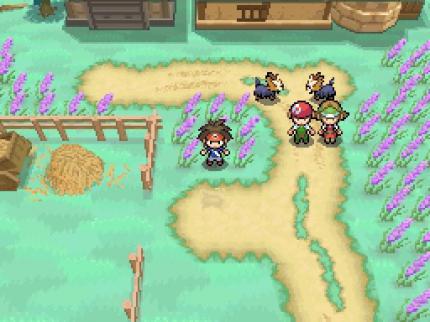 Pokémon Schwarz & Weiss 2. (5)