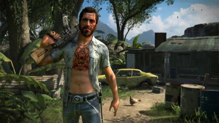 Far Cry 3 (13)