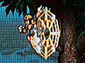 Lightning Web