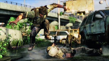 The Last of Us (10)