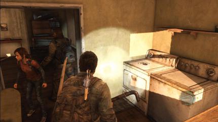 The Last of Us (5)